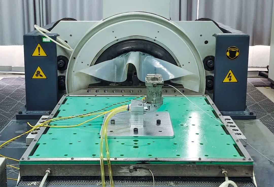 1715065082374548.jpg 640.jpg